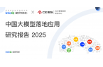 中国大模型落地应用研究报告(2025)免